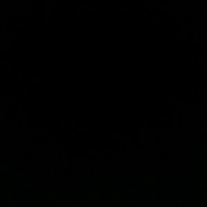 Meet your Posher, Danniel